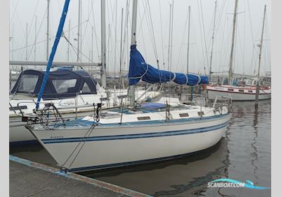 Bianca Yacht Bianca 320 Sejlbåd 1990, med Yanmar motor, Holland