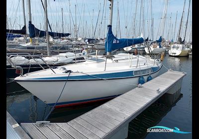 Hallberg Rassy 26 Sejlbåd 1979, med Volvo motor, Holland