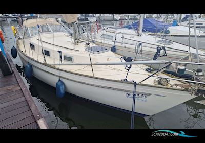 Hallberg-Rassy 31 Monsun Sejlbåd 1977, med Volvo Penta motor, Holland