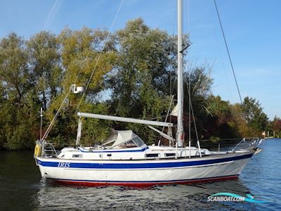 Hallberg Rassy 36 Scan. Sejlbåd 1992, med Volvo Penta MD22A motor, Holland