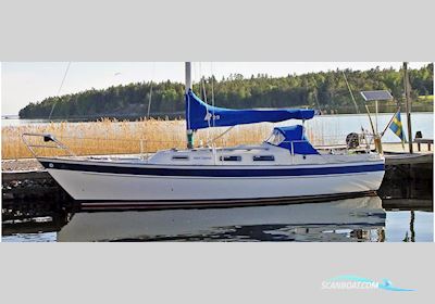 Hallberg-Rassy hr29 Sejlbåd 1987, med Vetus motor, Finland