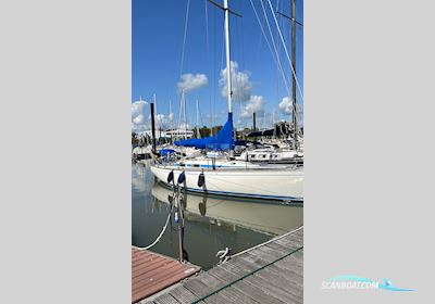 OY Avance Yachts AB Avance 36 de Luxe Sejlbåd 1983, med Yanmar motor, Tyskland