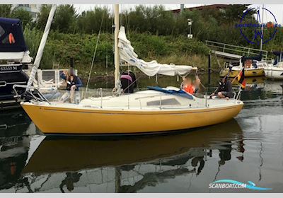 Hallberg-Rassy 24 Misil II Zeilboten 1976, met Allpa Mini SF-7 motor, Duitsland