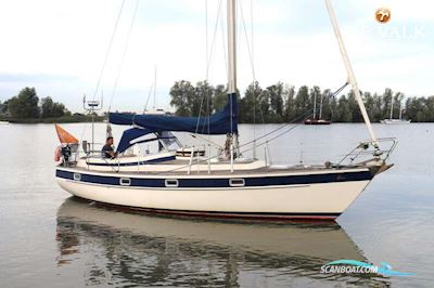 Hallberg Rassy 352 Scandinavia Zeilboten 1984, met Volvo Penta motor, The Netherlands