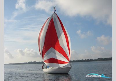 Norlin 34 - Solgt på 5 Dage Zeilboten 1973, met Volvo Penta 2003 motor, Denemarken