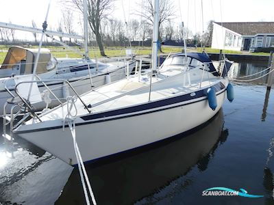 Pettersson MAXI 84 Zeilboten 1981, met MAN motor, The Netherlands