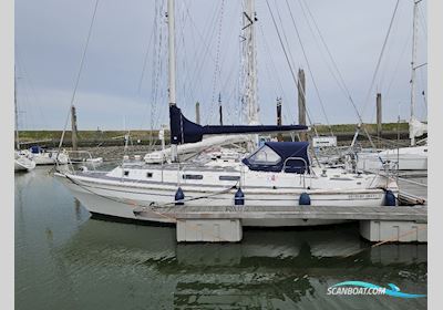 Westerly Discus 33 Zeilboten 1983, The Netherlands