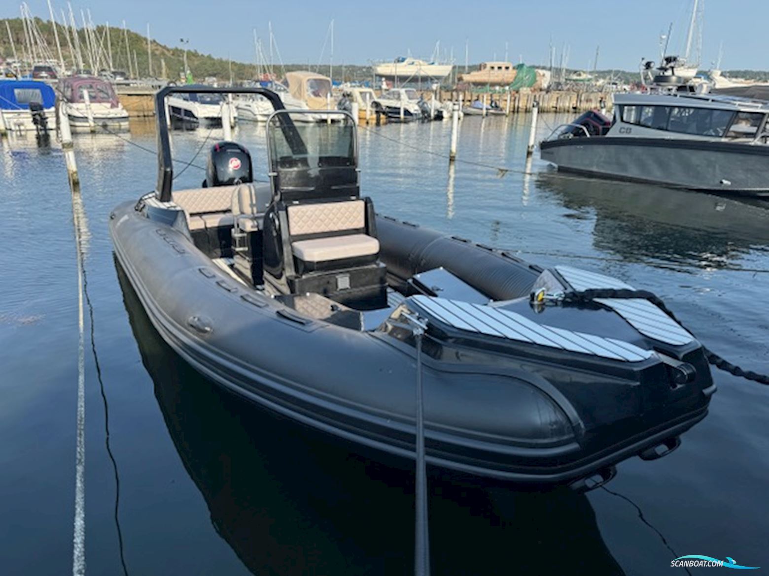 Tiger Marine / WAV Marine Tiger 650 Topline Inflatable / Rib 2021, with Mercury engine, Sweden