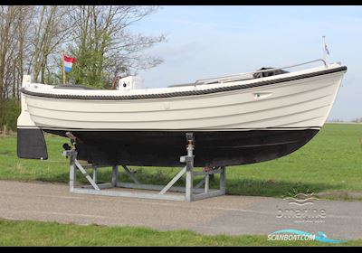 Crescent Allure 20 Elektro Motorboten 2016, met Bellmarine motor, The Netherlands