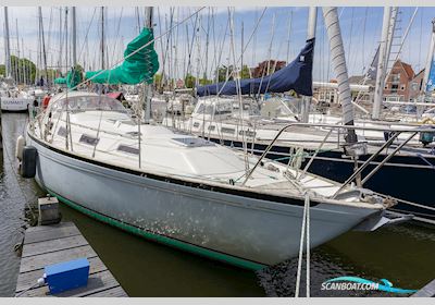 Camper & Nicholsons AC 40 Sailingboat 1979, The Netherlands