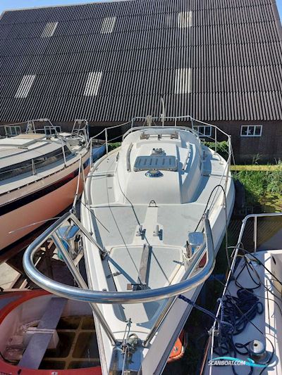 Contest 28 Segelboot 1980, mit Volvo Penta motor, Niederlande