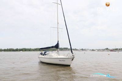 Dehler 36 CWS Segelboot 1991, mit Yanmar motor, Niederlande