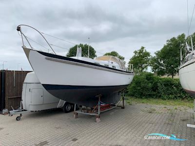 Seadog 30 Segelbåt 1973, med Yanmar motor, Holland