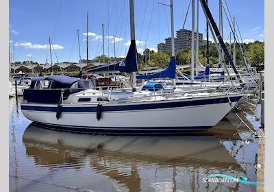 Hallberg Rassy 29 Sejlbåd 1985, med Volvo Penta 2002 motor, Danmark